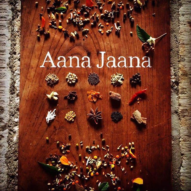 earthdaynikko2018《出店者紹介シリーズ》#10 ●　Aana Jaana●　鹿沼市●　南インドベースのスパイス料理●　地産の野菜を使い、身体に優しく、かつ刺激的なベジ料理を提供いたします。肉・大蒜不使用。 アースデイが人々にとって特別な日でなくなる時が来ることを願います。Instagram:aanajaana88FB:AanaJaana#earthday  #earthdaynikko2018  #earthday2018 #aanajaana #カレー - from Instagram